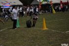 Foto by Em_foco