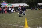 Foto by Em_foco