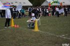 Foto by Em_foco