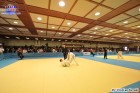 Foto by Cristian Suzuki