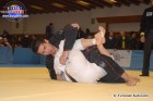 Foto by Fernando