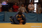 Foto by Fernando