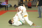 Foto by Fernando