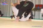 Foto by Fernando
