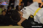 Foto by Fernando