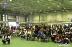 Foto by Yoshi Okabe