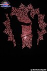 Foto by Kendi