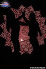 Foto by Kendi